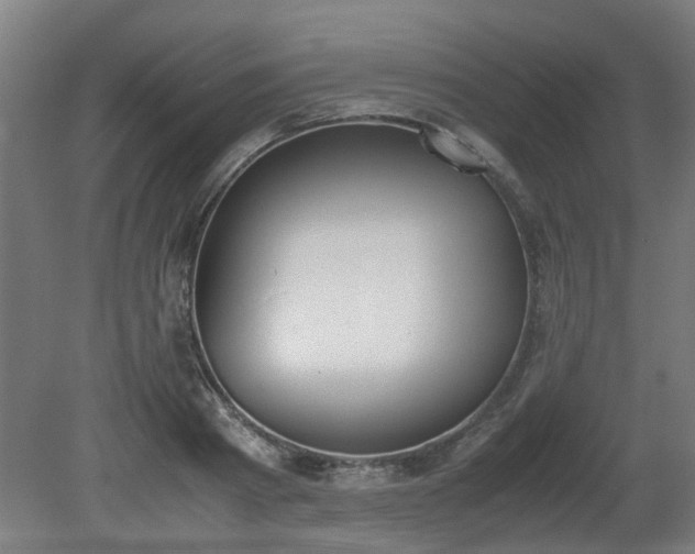 X0000081270793200701181715