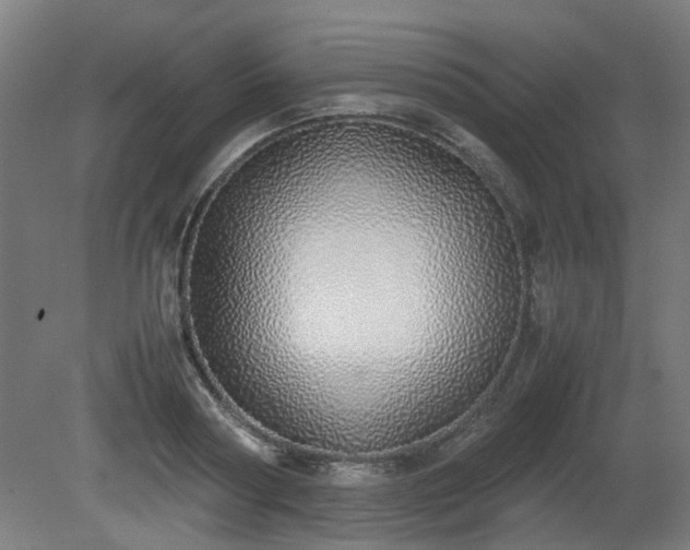 X0000081270794200701181715