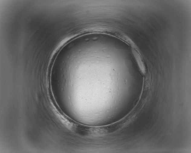 X0000081270795200701181715