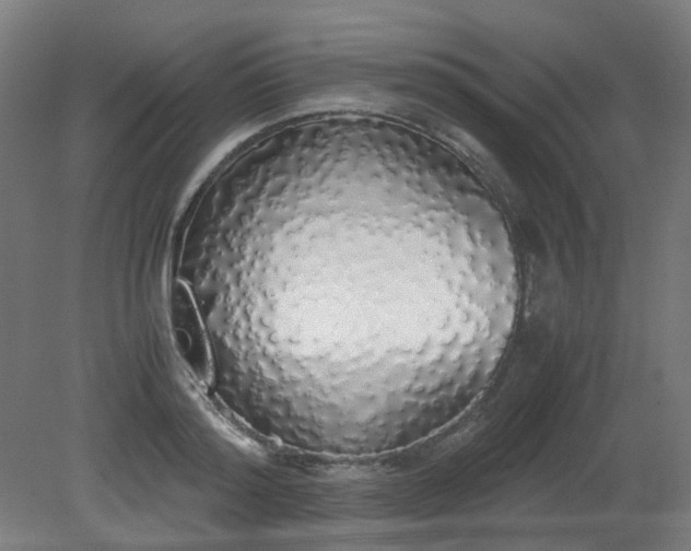 X0000081270796200701181715