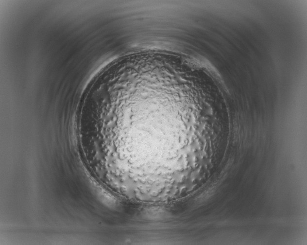 X0000081270798200701181715