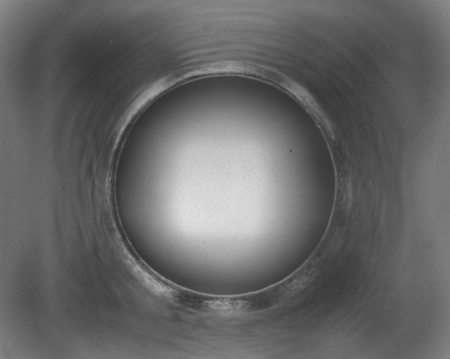 X0000081270805200701181715