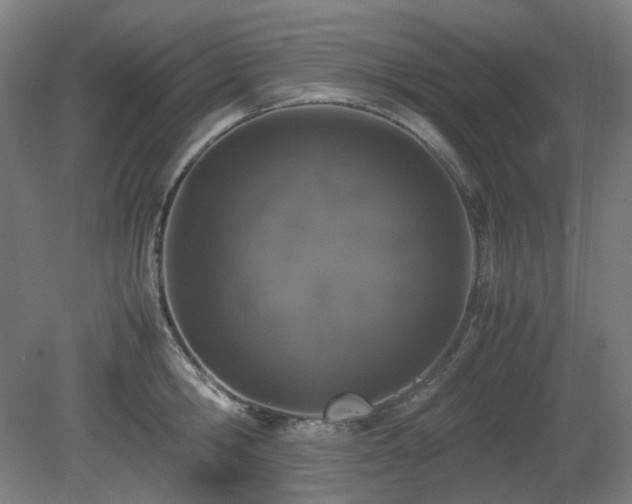 X0000081270806200701181715