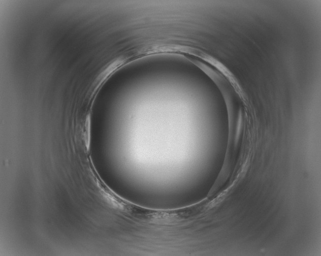 X0000081270809200701181715