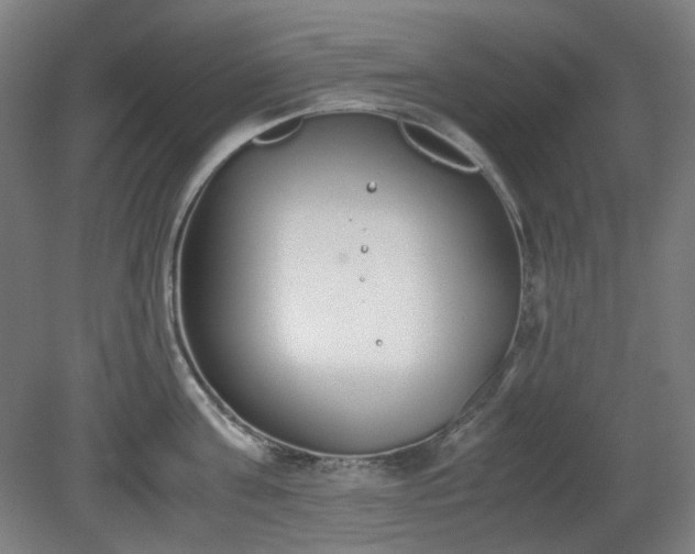 X0000081270811200701181715