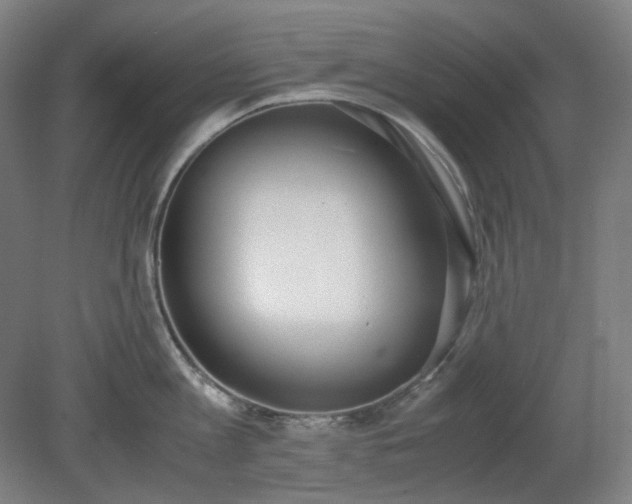 X0000081270813200701181715