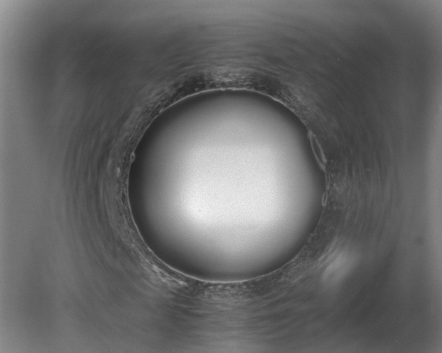 X0000081270817200701181714