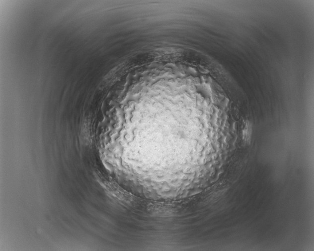 X0000081270819200701181714