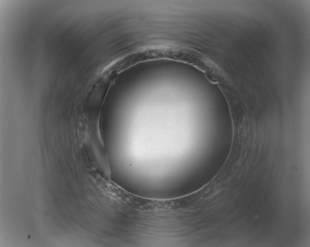 X0000081270822200701181714