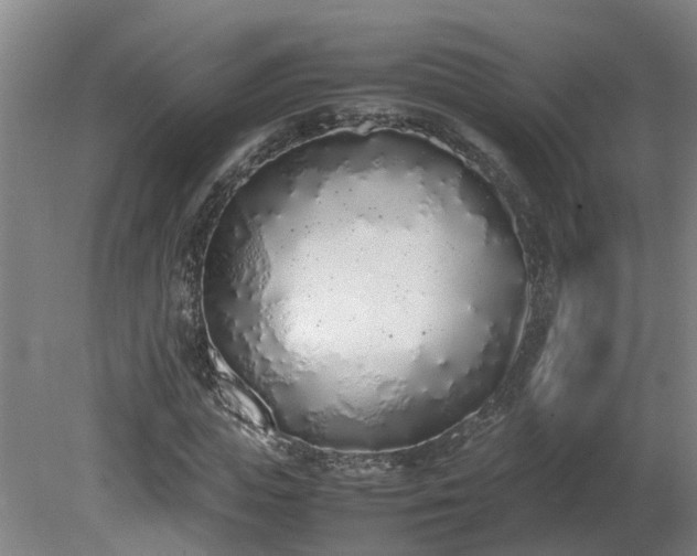 X0000081270823200701181714