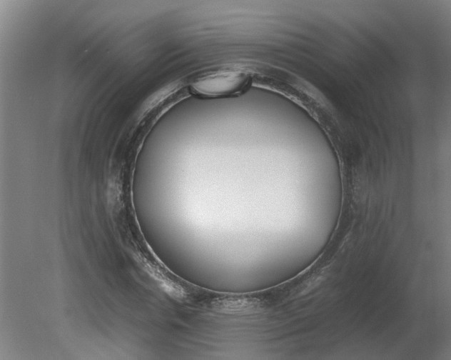 X0000081270826200701181714