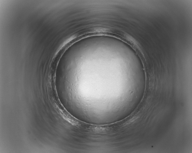 X0000081270827200701181714