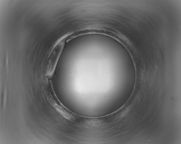 X0000081270830200701181714