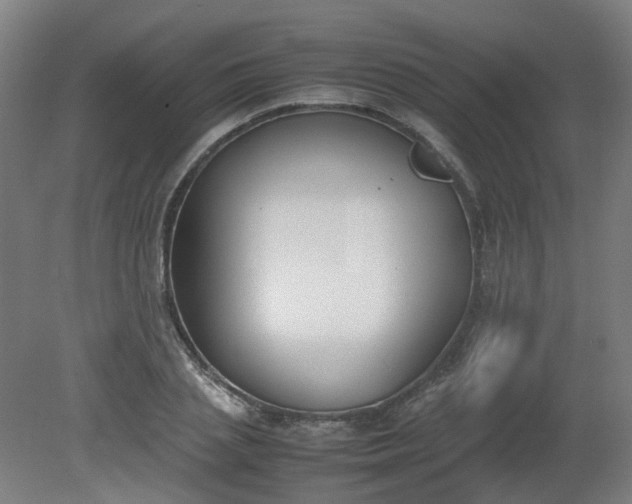 X0000081270837200701181715