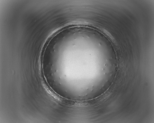 X0000081270840200701181715