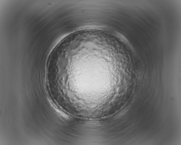 X0000081270844200701181715