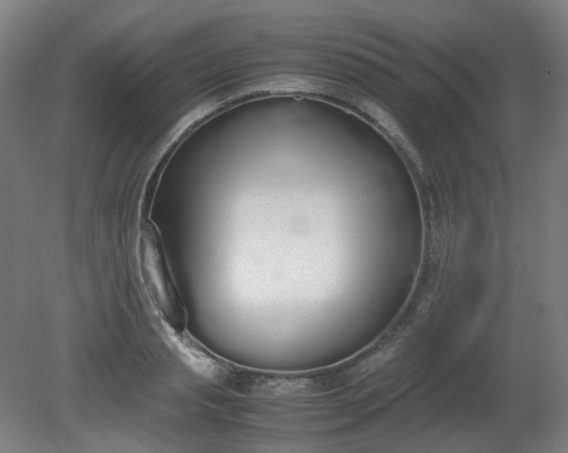 X0000081270845200701181715