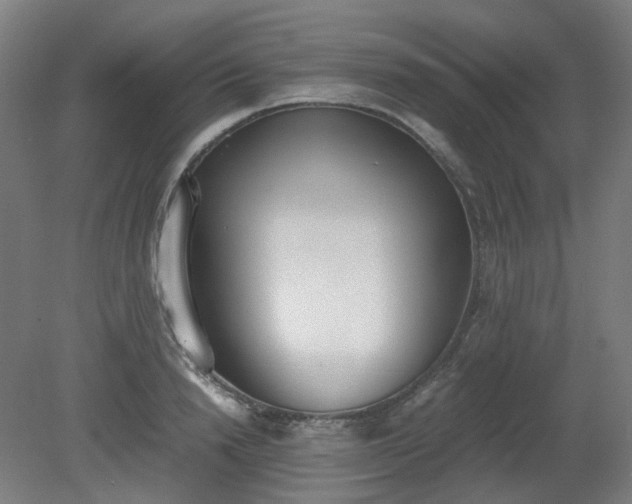 X0000081270846200701181715
