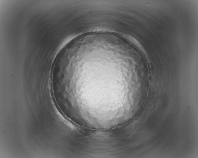 X0000081270847200701181715