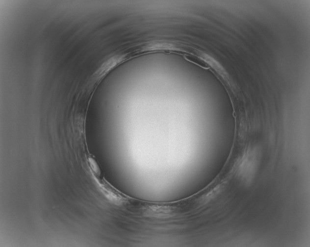 X0000081270849200701181715