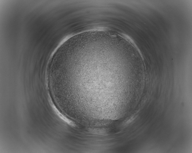 X0000081270851200701181715