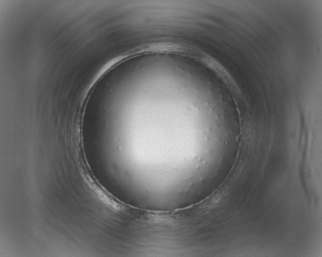 X0000081270852200701181715