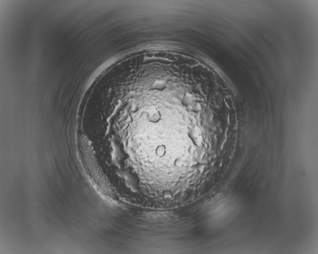 X0000081270853200701181715