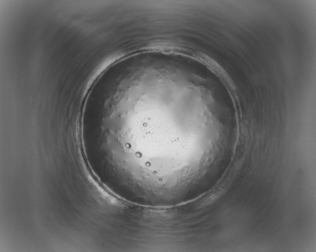 X0000081270855200701181715