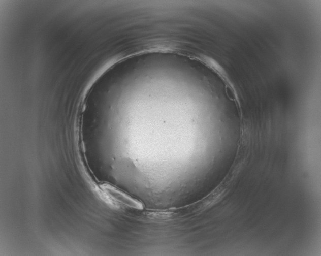 X0000081270859200701181715