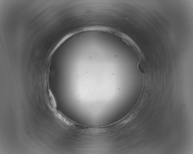 X0000081270860200701181715