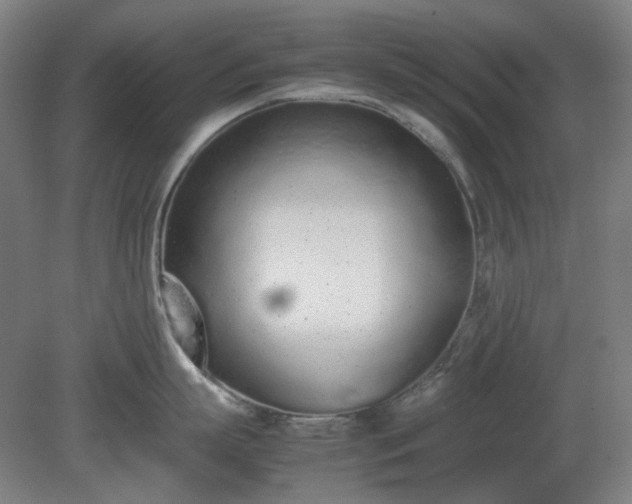 X0000081270863200701181715