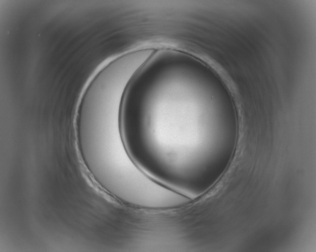 X0000081270864200701181715