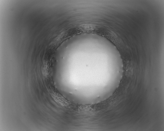 X0000081270866200701181714