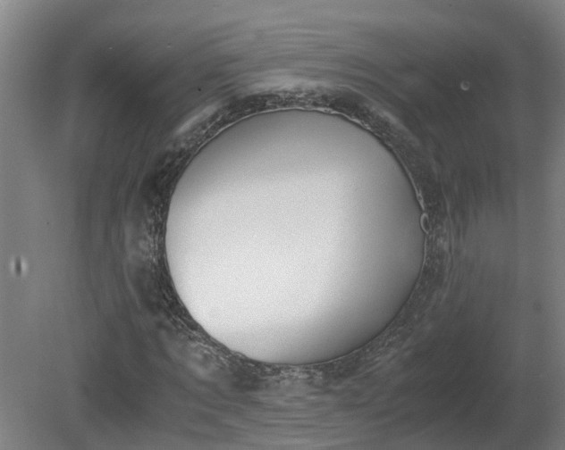 X0000081270869200701181714