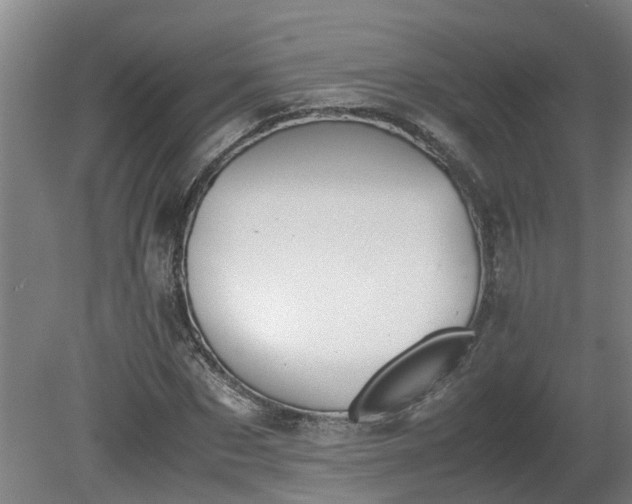 X0000081270873200701181714