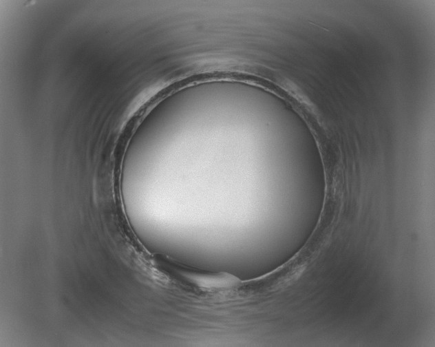 X0000081270877200701181714