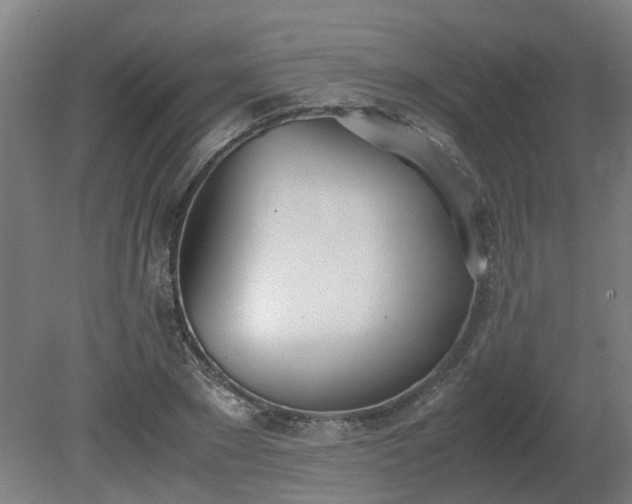 X0000081270881200701181714