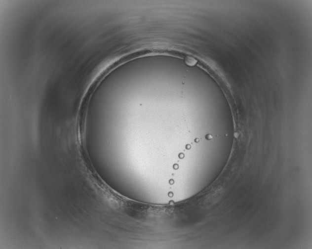 X0000081270887200701181714