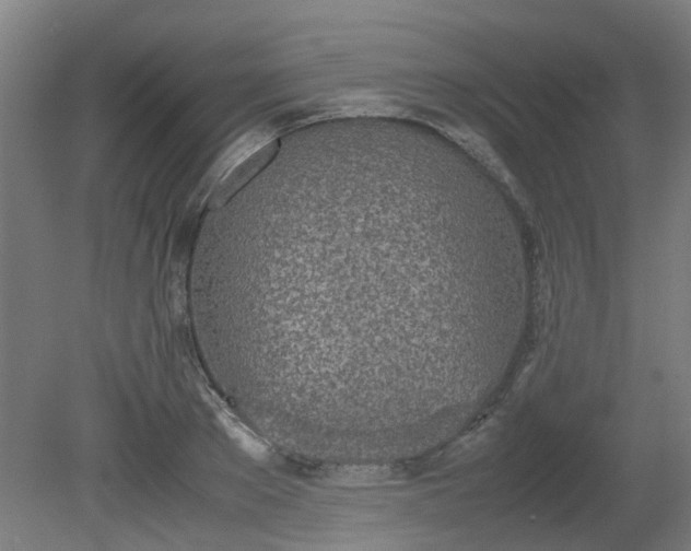 X0000081270889200701181714