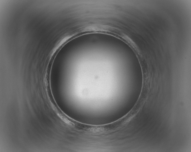 X0000081270893200701181714