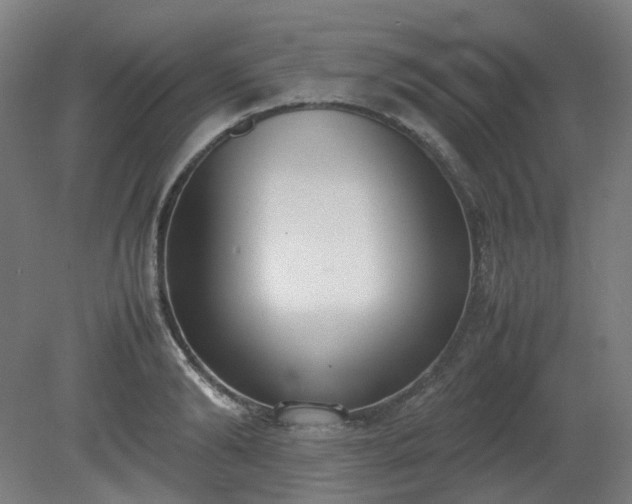 X0000081270894200701181714