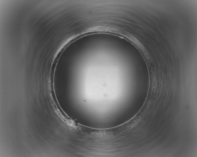 X0000081270896200701181714
