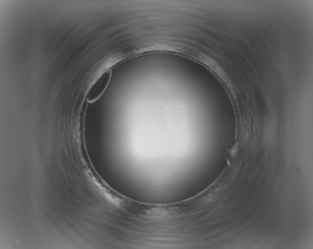 X0000081270898200701181714