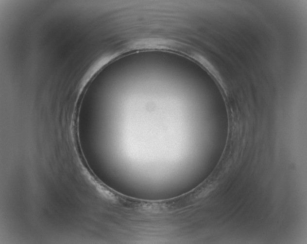 X0000081270901200701181714