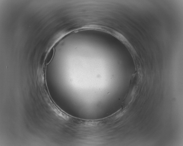 X0000081270908200701181714