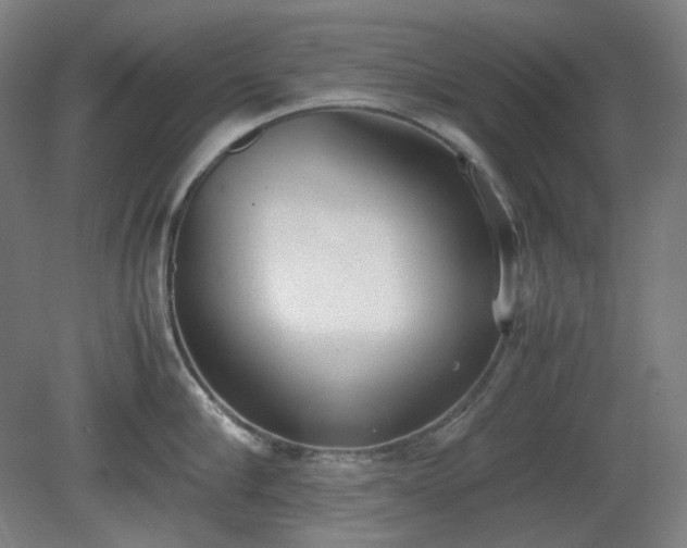 X0000081270910200701181713