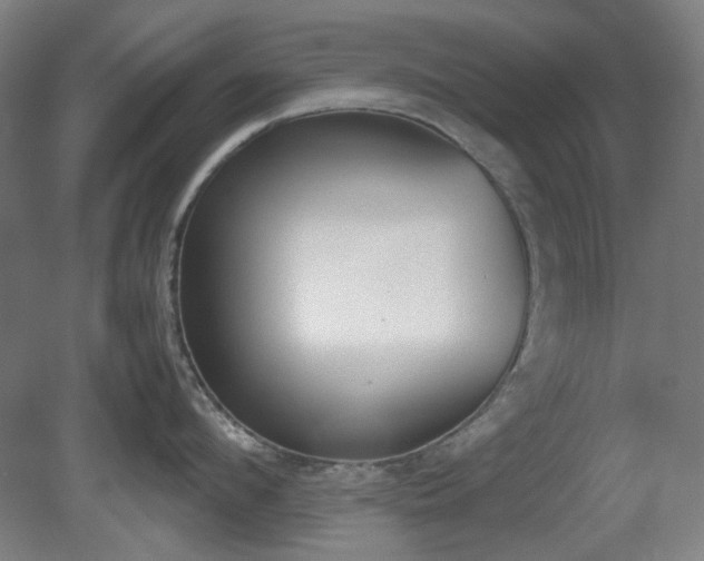 X0000081270912200701181713