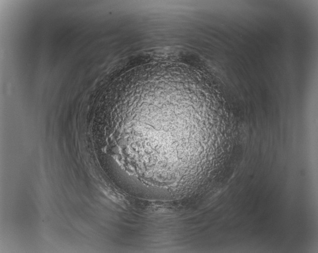 X0000081270913200701181713