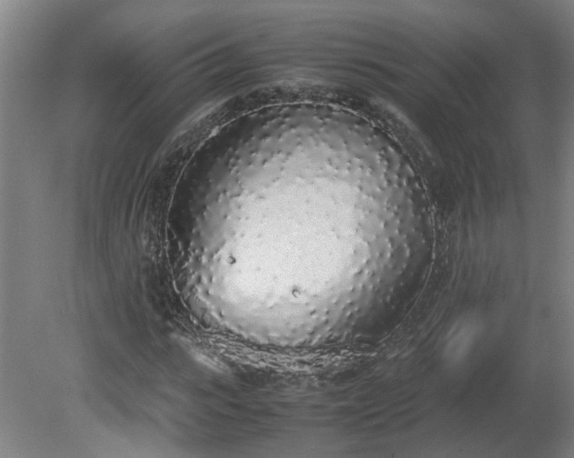 X0000081270919200701181713
