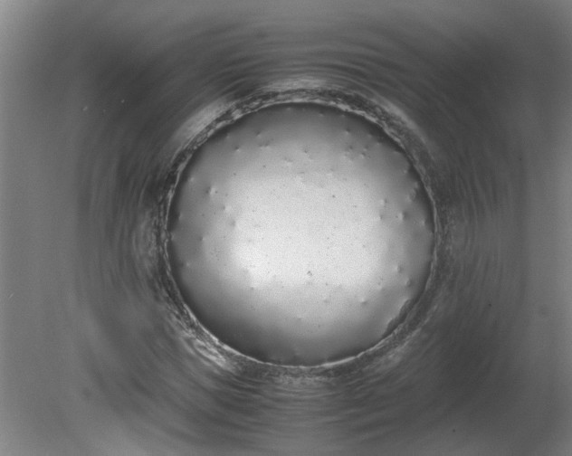 X0000081270921200701181713